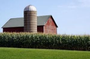 Farm Liability Insurance in USA