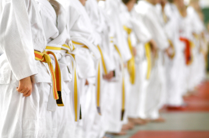 Martial Arts Insurance in USA